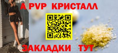 твердый Будённовск