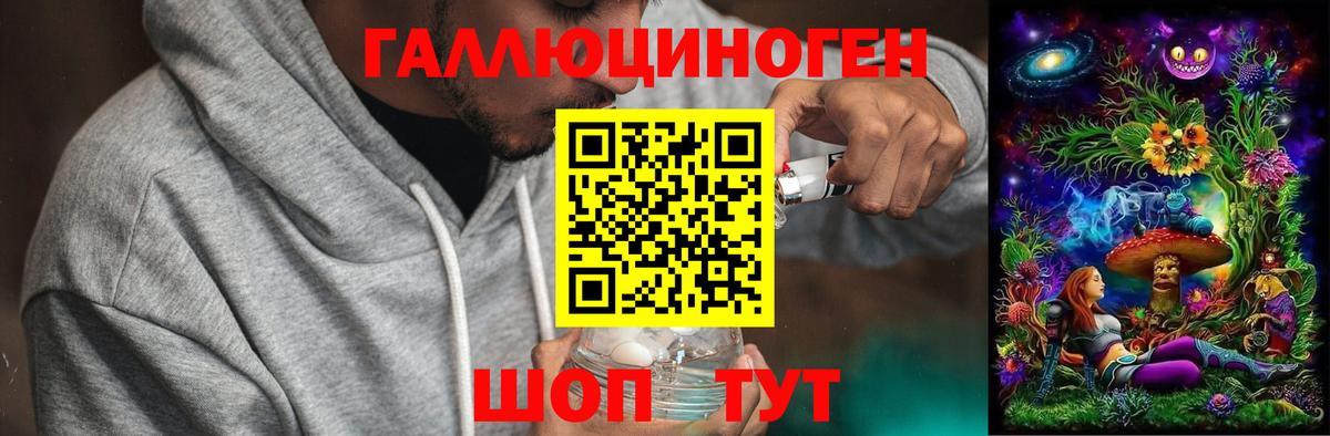 Чапаевск  Галлюциногенные грибы Psilocybe  как найти наркотики  Вход с VPN  Галлюциногенные грибы Psilocybe 